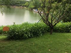 -广州绿地中央广场