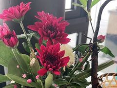 -柳莺湖上·湖景餐厅·江南菜(西湖店)