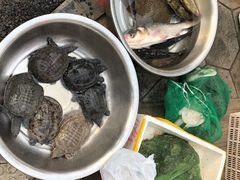 -大蓉和(双楠店)