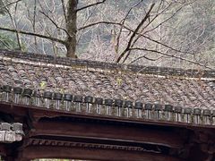 -刘伯温故里景区百丈漈