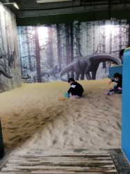 -恐龙探索乐园(磁器口店)