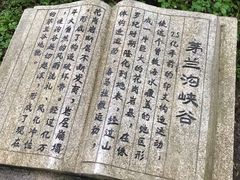 -茅兰沟国家森林公园