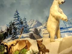 -陕西自然博物馆