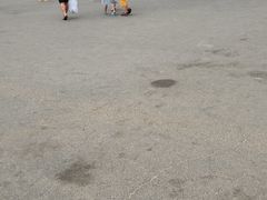 -日照海滨国家森林公园