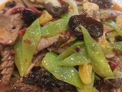 -糊涂兔毛毛菜(八里庄店)