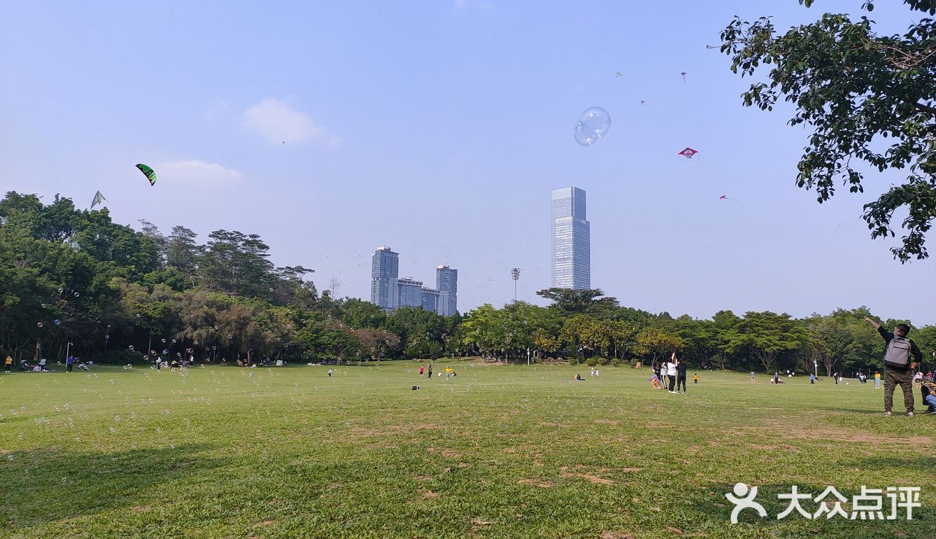 风筝篇 疫情过后回到深圳 第一逛的地方就来到了莲花山