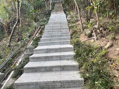 -小南山公园