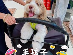 -京津佛罗伦萨小镇