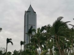 -万绿园