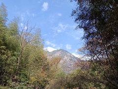 -祁门牯牛降观音堂风景区