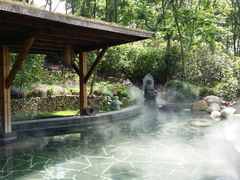 android_upload_pic-南京汤山紫清湖生态旅游温泉度假区