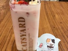 -猫小院猫主题咖啡厅(北锣店)