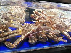 -盒马鲜生(新都心店)