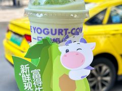 -一只酸奶牛(八一路店)