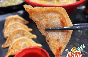 Japanese Pan-Fried Dumplings