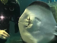 -嘉兴海底世界