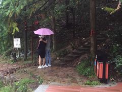 -四明山国家森林公园
