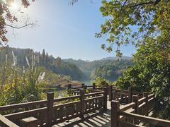 -潜山国家森林公园