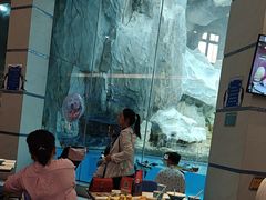 -帝企鹅自助餐厅•儿童岛•真企鹅(长隆企鹅酒店)