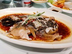 石斑-廊亦舫Lang Yi Fang Restaurant(金桥店)