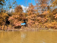 -上海海湾国家森林公园