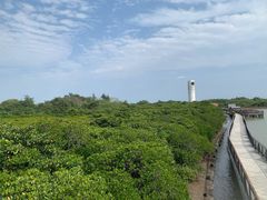 -东寨港红树林旅游区