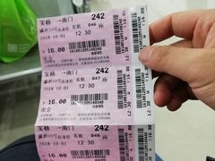 -吴淞口国际邮轮码头-停车场