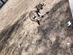 -秦皇岛野生动物园