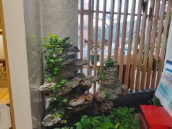 -雅曼妮spa美容养生