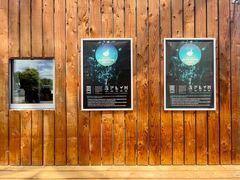 -怀托摩萤火虫洞