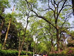 景点-湖南烈士公园(芙蓉区)