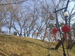 -相门城墙文化休闲景区