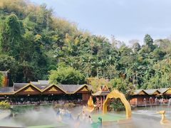 -西双版纳原始森林公园