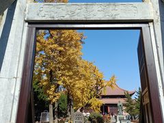 -苏州文庙(姑苏区)