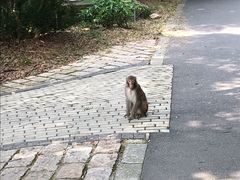 -苏州环秀晓筑养生度假村