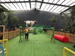 -呀路古热带植物园