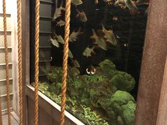 -老船坞水上餐厅(亚洲大酒店  东四十条店)