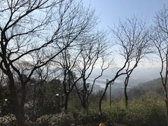 -宝石山
