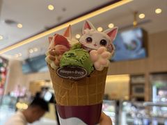 -哈根达斯(龙湖时代天街店)