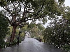 -杭州黄龙洞