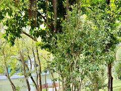 -深圳国际园林花卉博览园