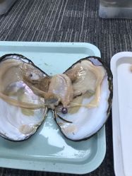 点击看大图 -邵老师打金·黄金加工(大望路总店)
