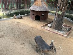 -呀路古热带植物园