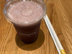 -Wagas沃歌斯(汇智店)