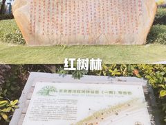 -宝安西湾红树林湿地公园