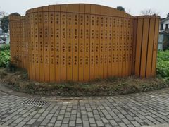 -桤木河湿地公园