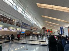 -达拉斯 沃斯堡国际机场