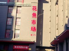 -沈阳北市场花鱼古玩城