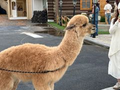 -Blue Concept Cafe&Farm·關於藍