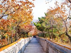 -妙峰山风景名胜区